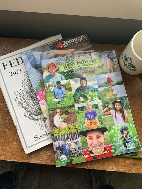 Seed Catalogs & January Dreaming