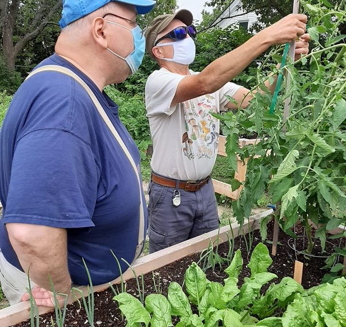 Saco Bay News Article Summer 2020